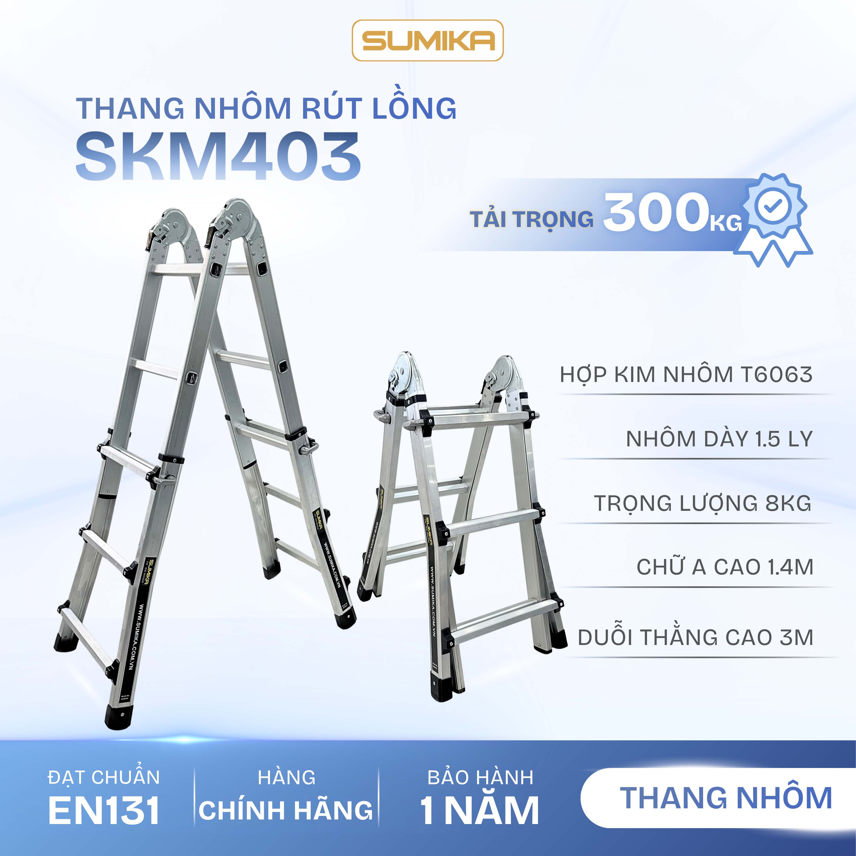 A Sumika SKM403 aluminum sliding aluminum ladder