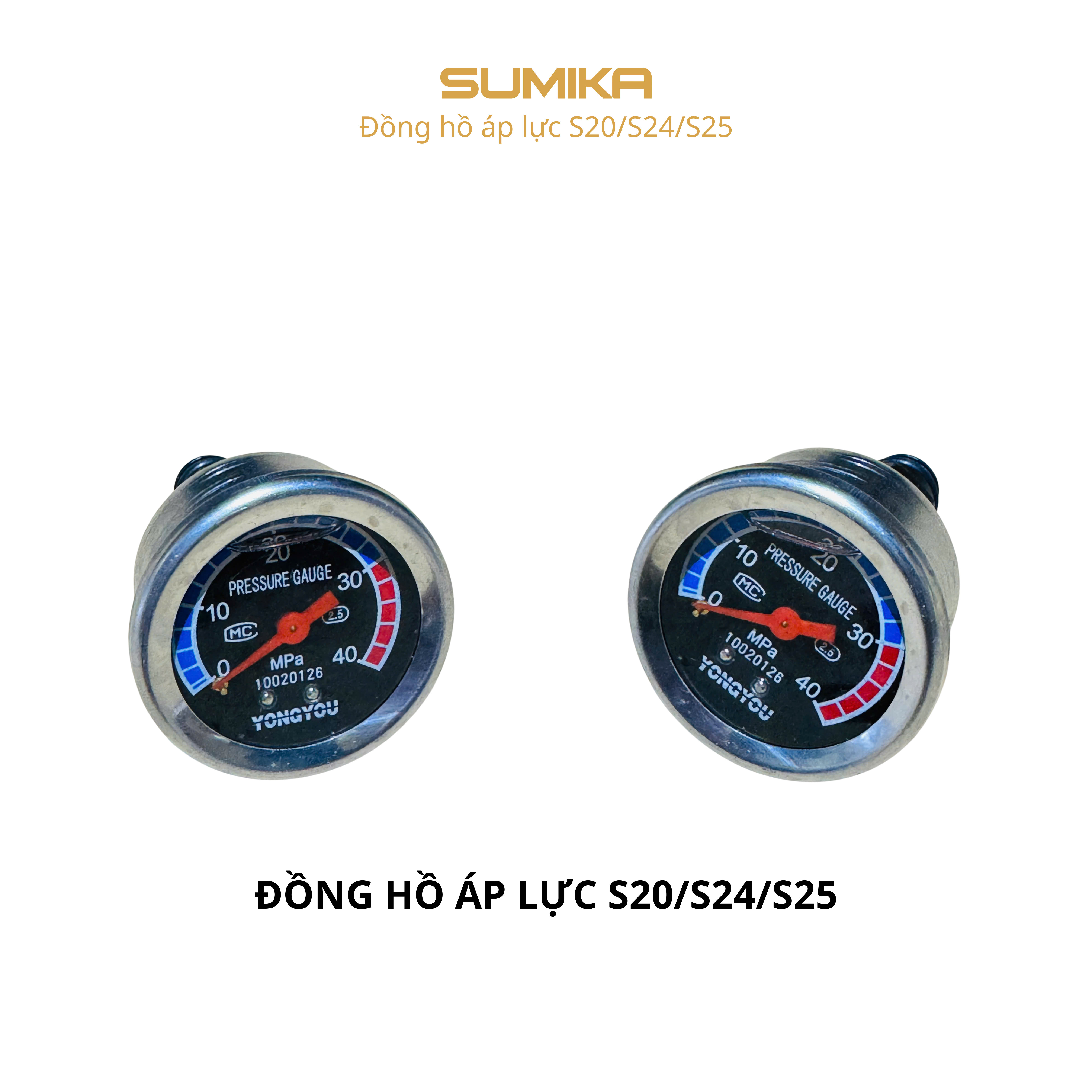 Đồng hồ áp lực S20/S24/S25