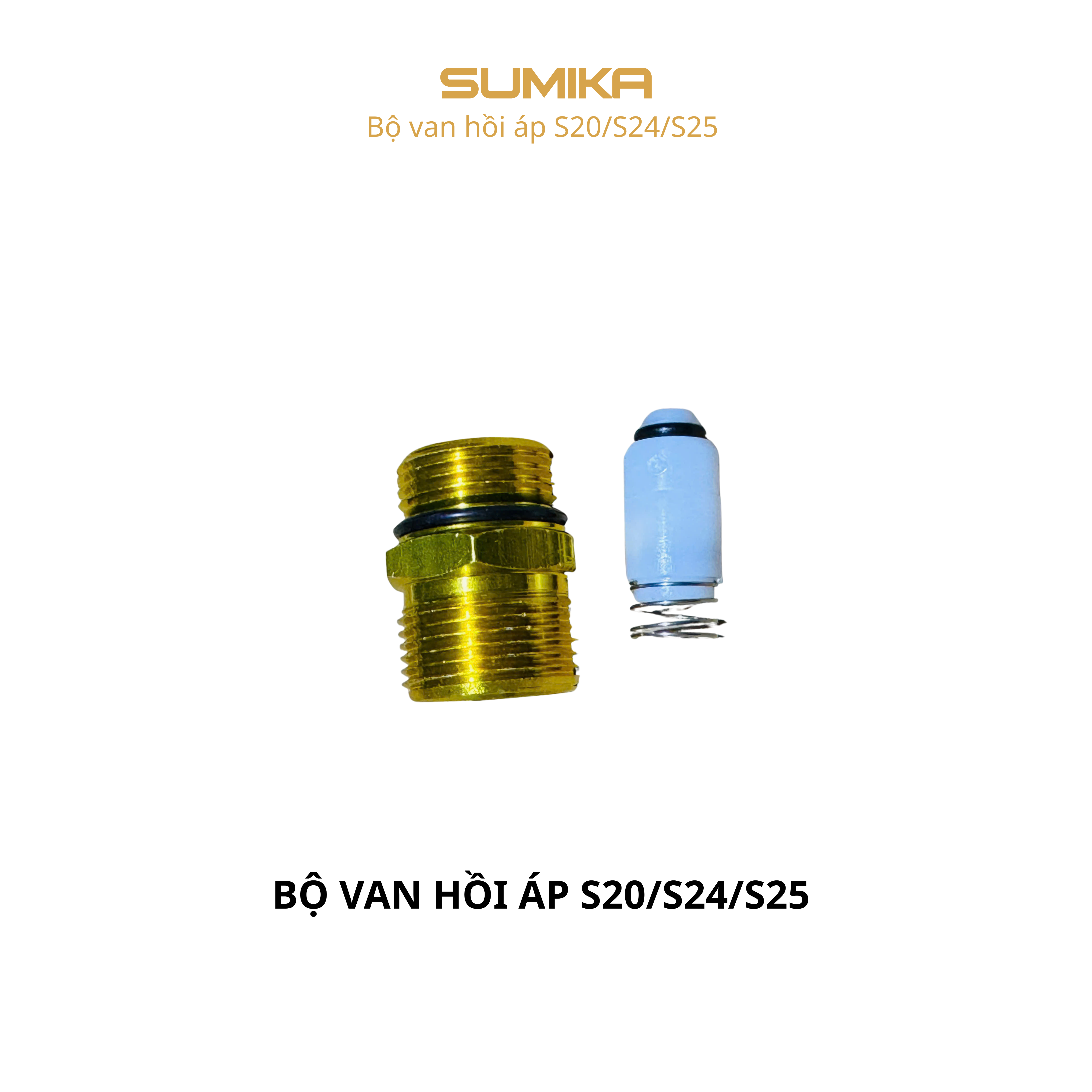 Bộ van hồi áp S20/S24/S25